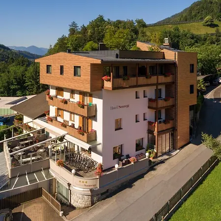 Sonnegg Hotel Saltusio